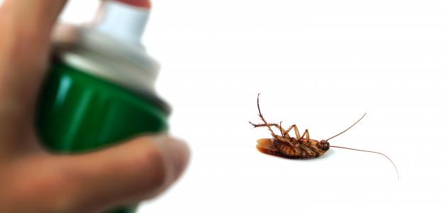 التخلص_من_الصراصير_الصغيرة