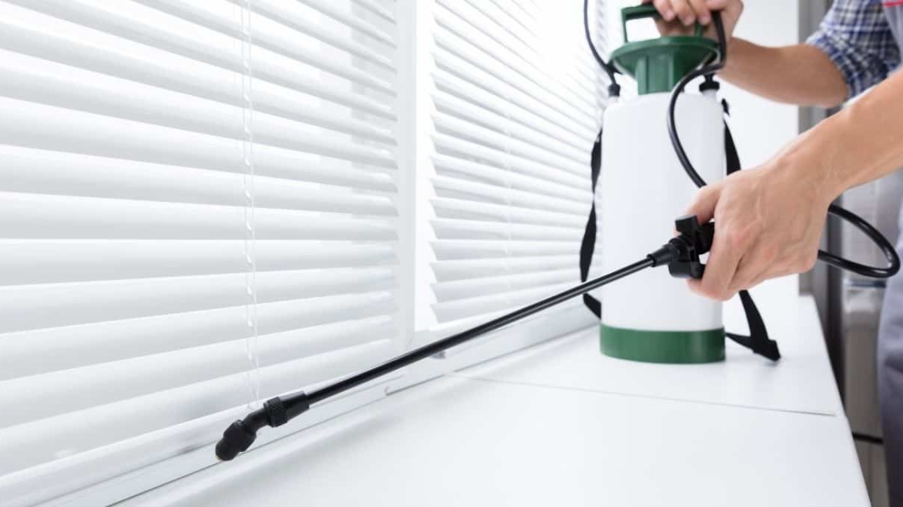 شركة مكافحة الحشرات في أبو ظبي