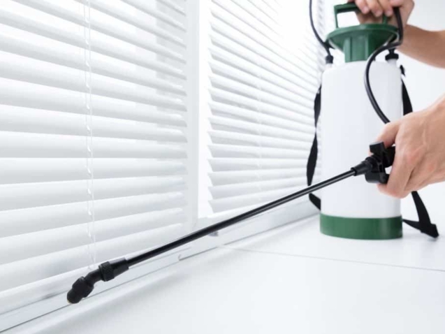 شركة مكافحة الحشرات في أبو ظبي