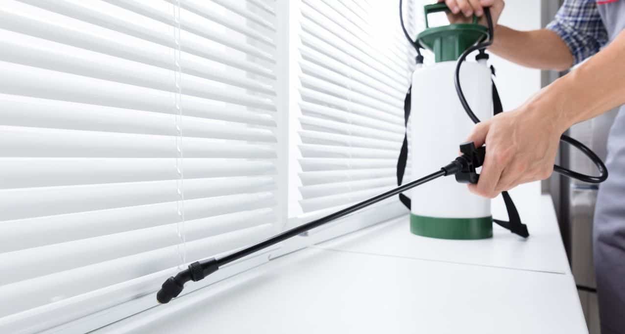 شركة مكافحة الحشرات في أبو ظبي