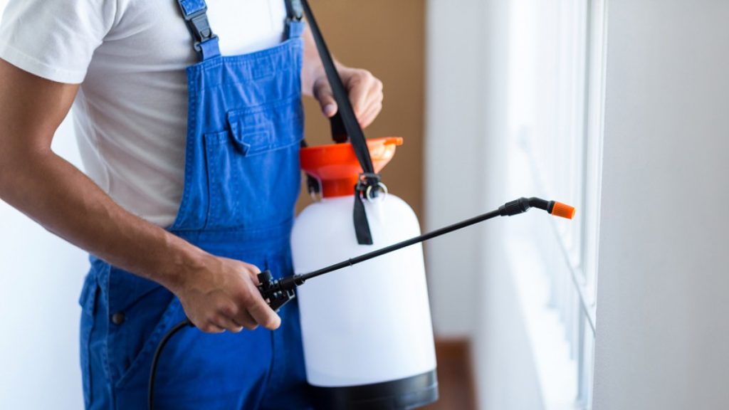 مكافحة الحشرات في أبو ظبي